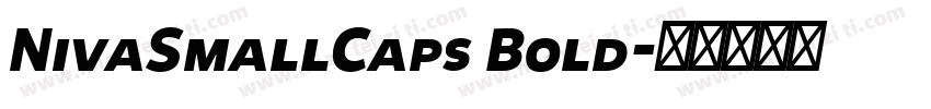 NivaSmallCaps Bold字体转换